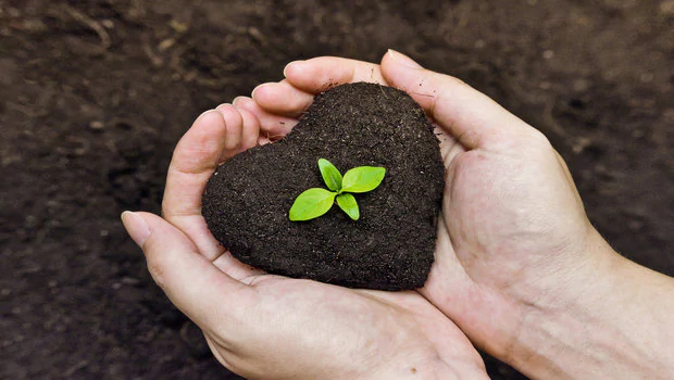 Organic Farming and Soil Health